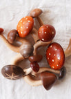 12er Set - Pilz Familie