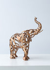Elefant – Gold