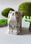 Getigerte Katze