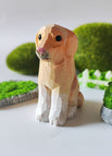 Labrador