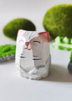 Chinchilla-Katze