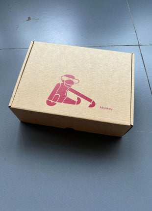 Kartonverpackung mit Aufkleber und Affen-Illustration für die Holzskulptur