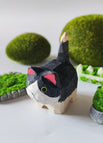 Schwarze Katze