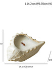 Shape C